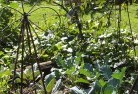 Glenorchy QLDlandscape-gardener-26.jpg; ?>